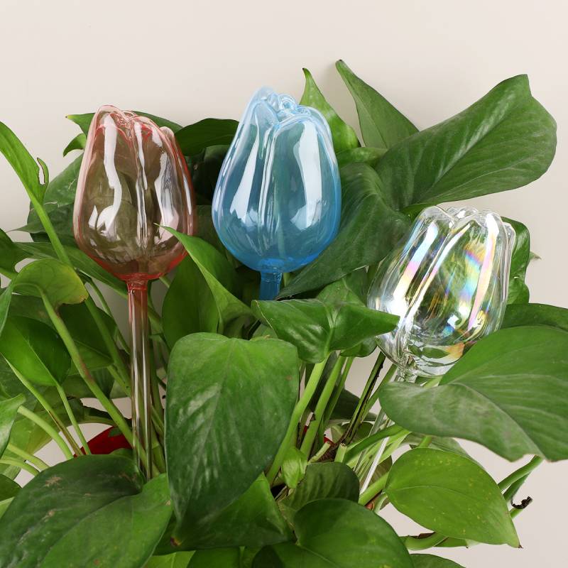 Automatic Plant Waterer - 1 шт. стеклянный поливатель для растений,