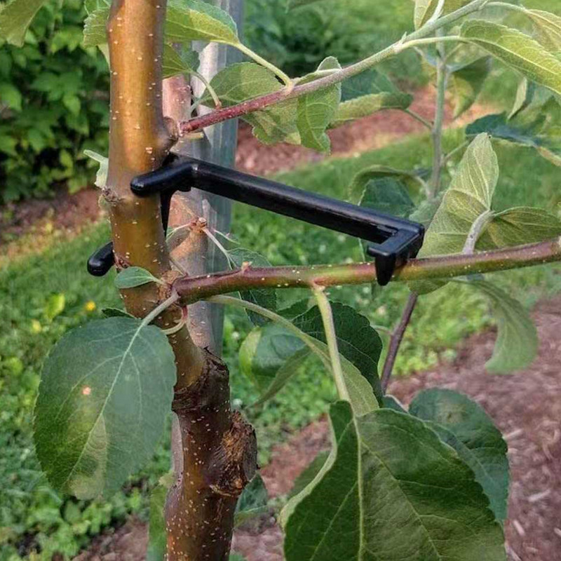 Root Watering Spike - Съемник ветвей фруктовых деревьев, опорные зажимы