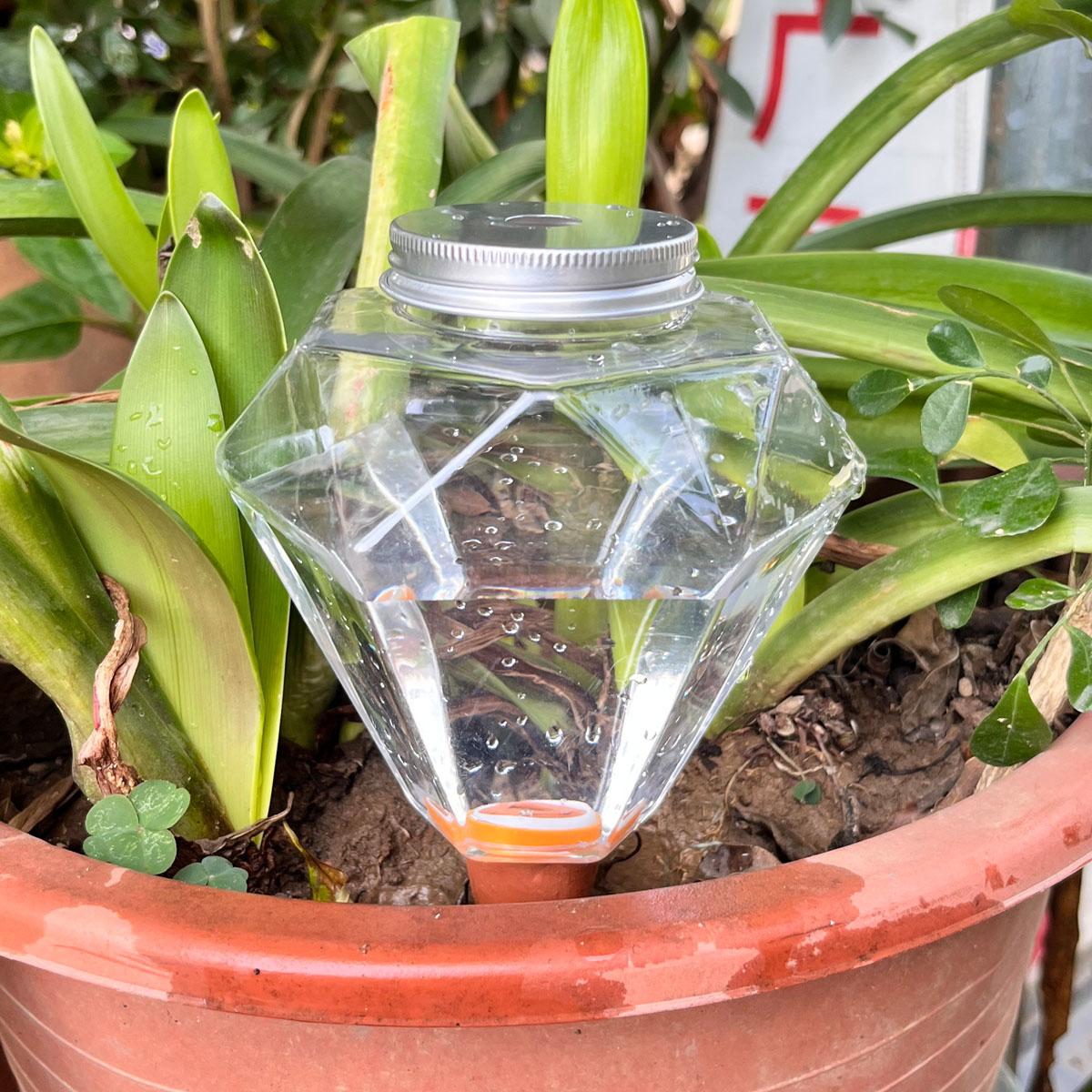 Automatic Plant Waterer - 1 шт. Милый пластиковый автоматический капельный