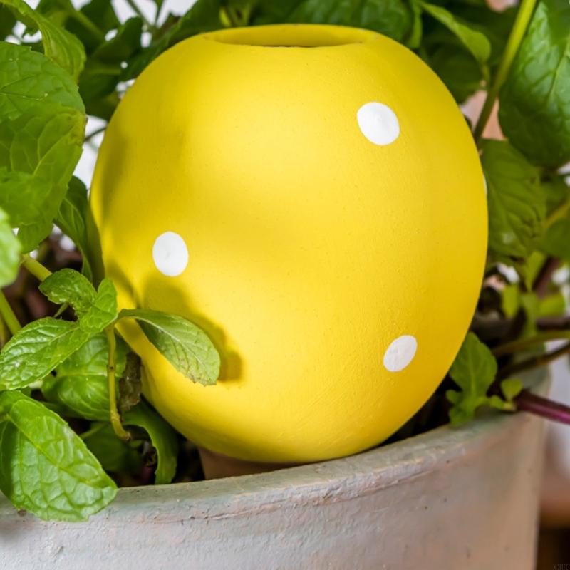 Gardening Tools Description - Керамические лампочки для полива горшки замедляет