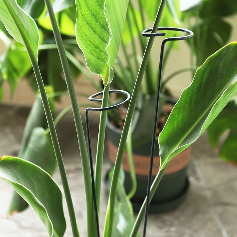 1/10 шт., садовое опорное коль – обзор и цена Gardening Tools Holder