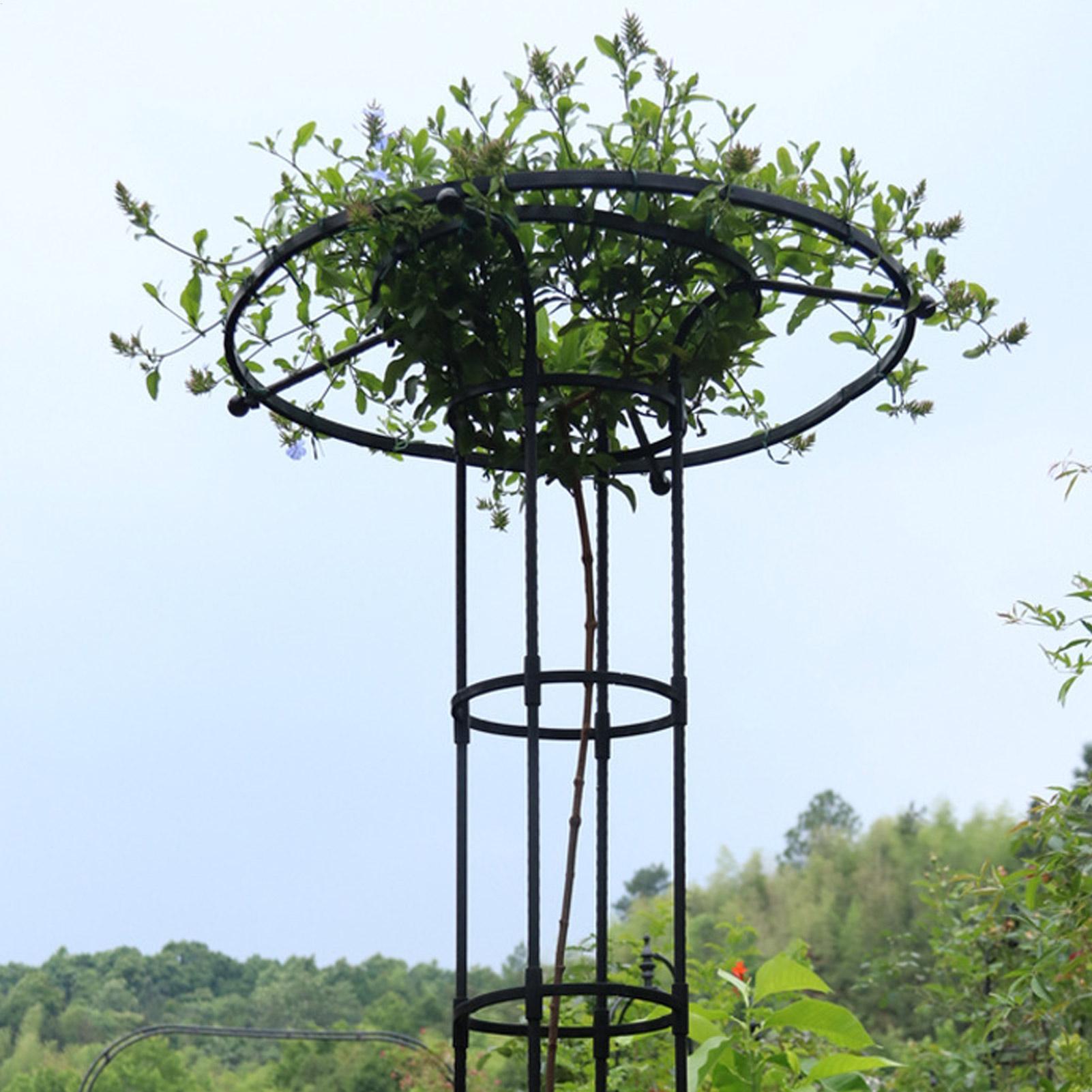 Садовая опорная конструкция-зо – обзор и цена Gardening Tools Holder