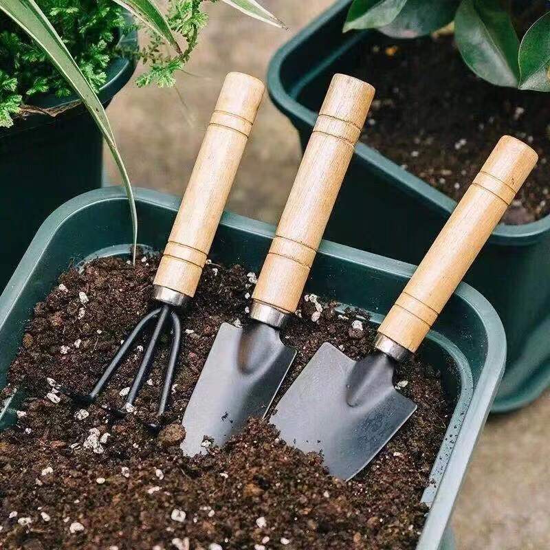3 шт./1 компл. мини-набор садо – обзор и цена Gardening Tools Gifts