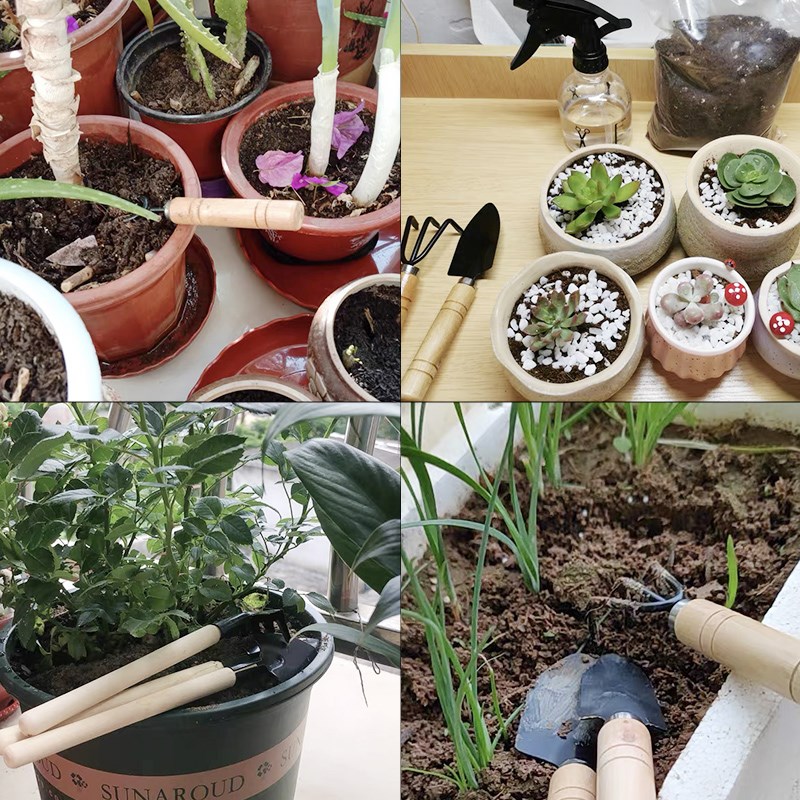 3 шт./1 компл. мини-набор садо – обзор и цена Gardening Tools Gifts