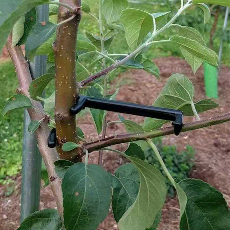 Съемник ветвей фруктовых дерев – обзор и цена Root Watering Spike