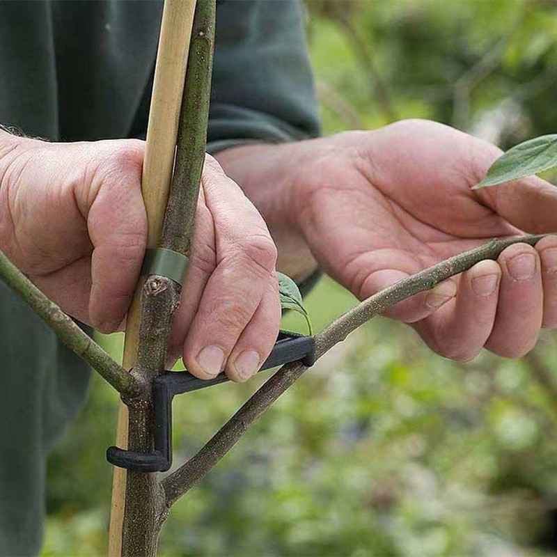 Съемник ветвей фруктовых дерев – обзор и цена Root Watering Spike