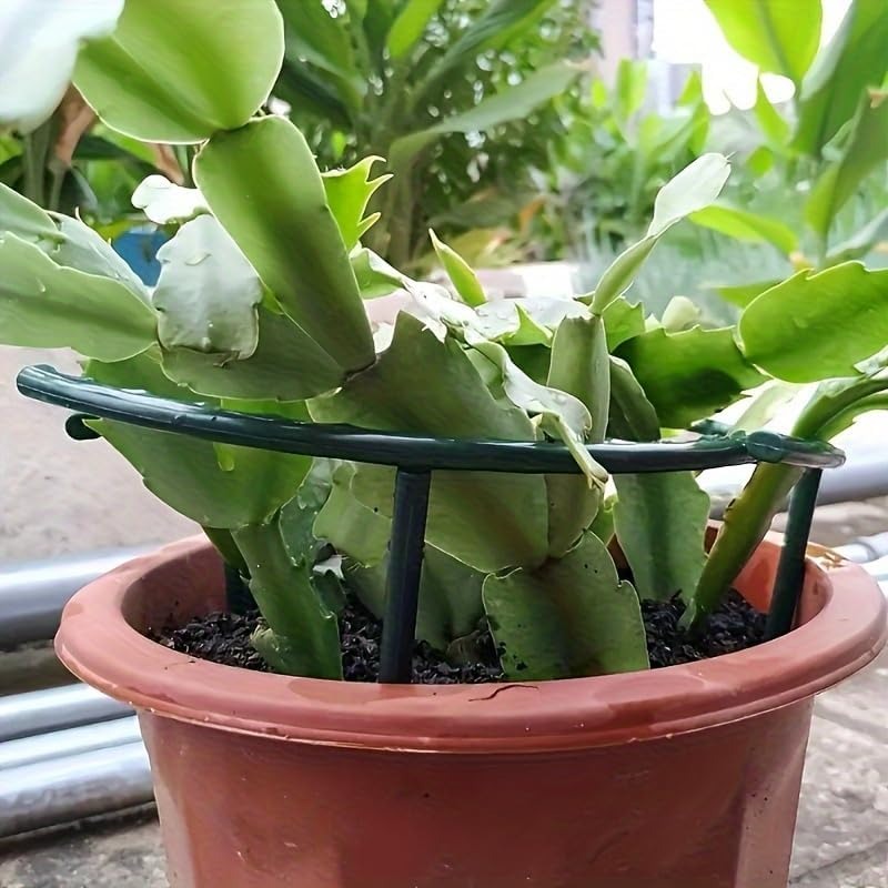 30-1 шт. Пластиковая полукругл – обзор и цена Gardening Tools Gifts