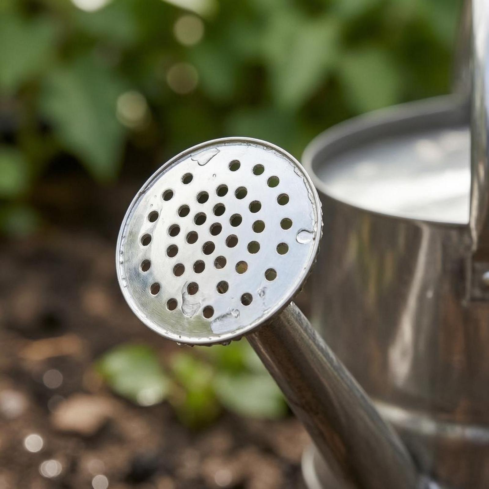 Садовая лейка для полива цвето – обзор и цена Gardening Tools Watering Can