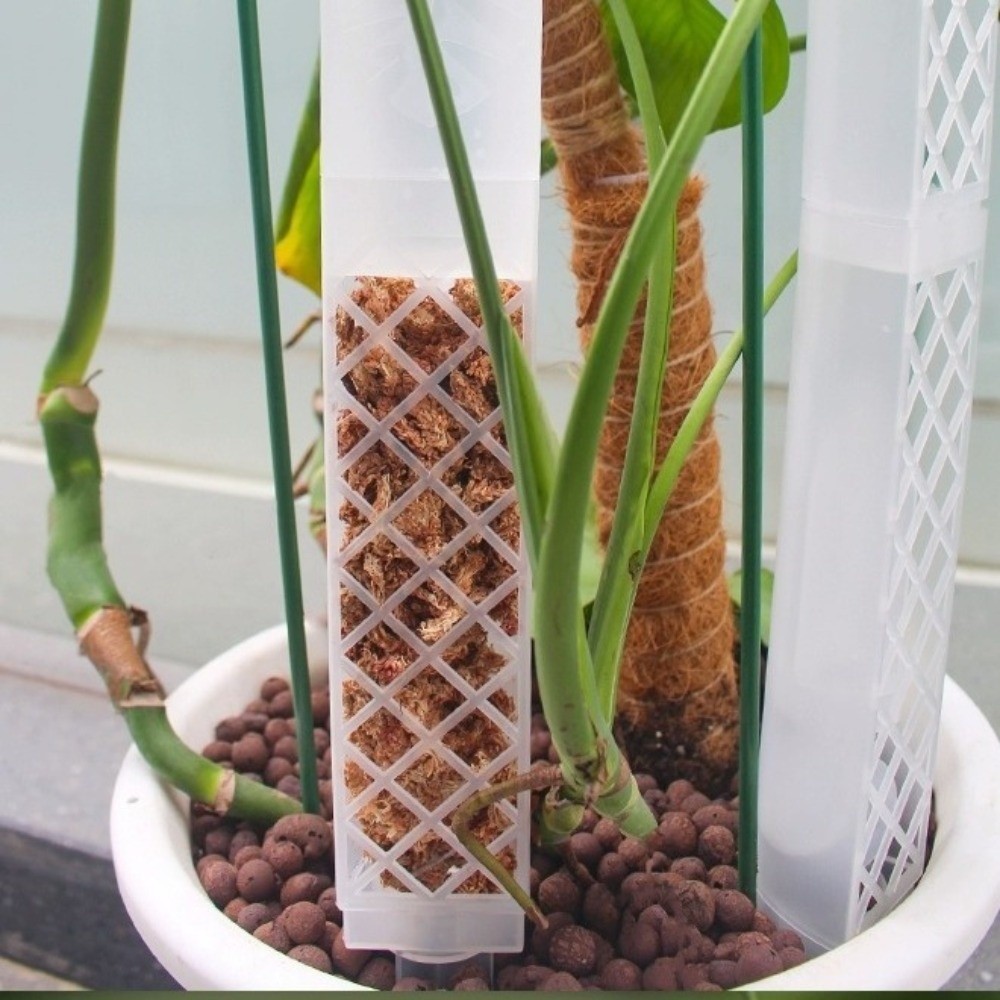 D-образная пластиковая колонна – обзор и цена Automatic Plant Waterer