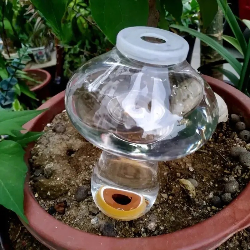 Автоматический полив для расте – обзор и цена Automatic Plant Waterer